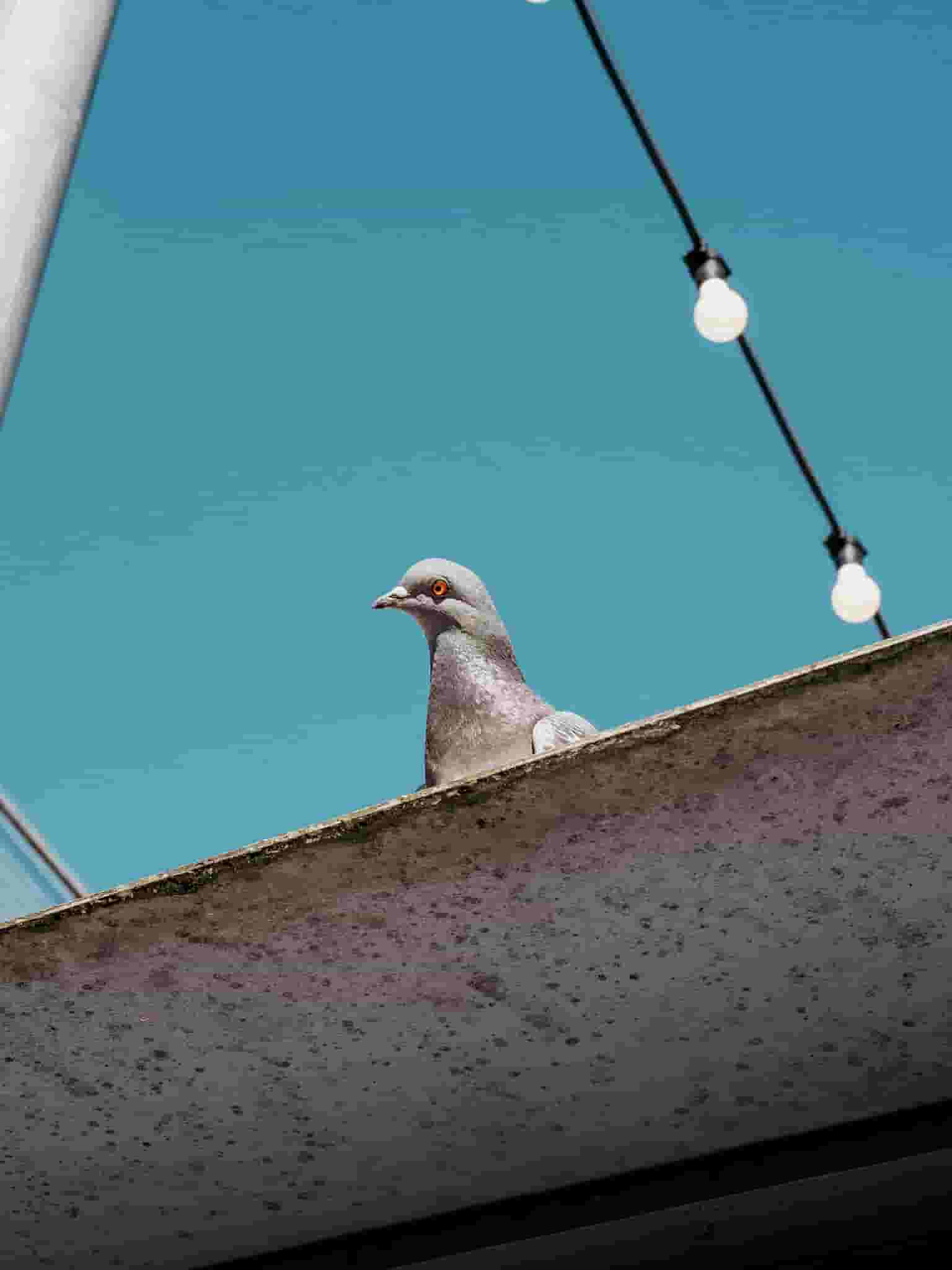 Keeping an Eye Out