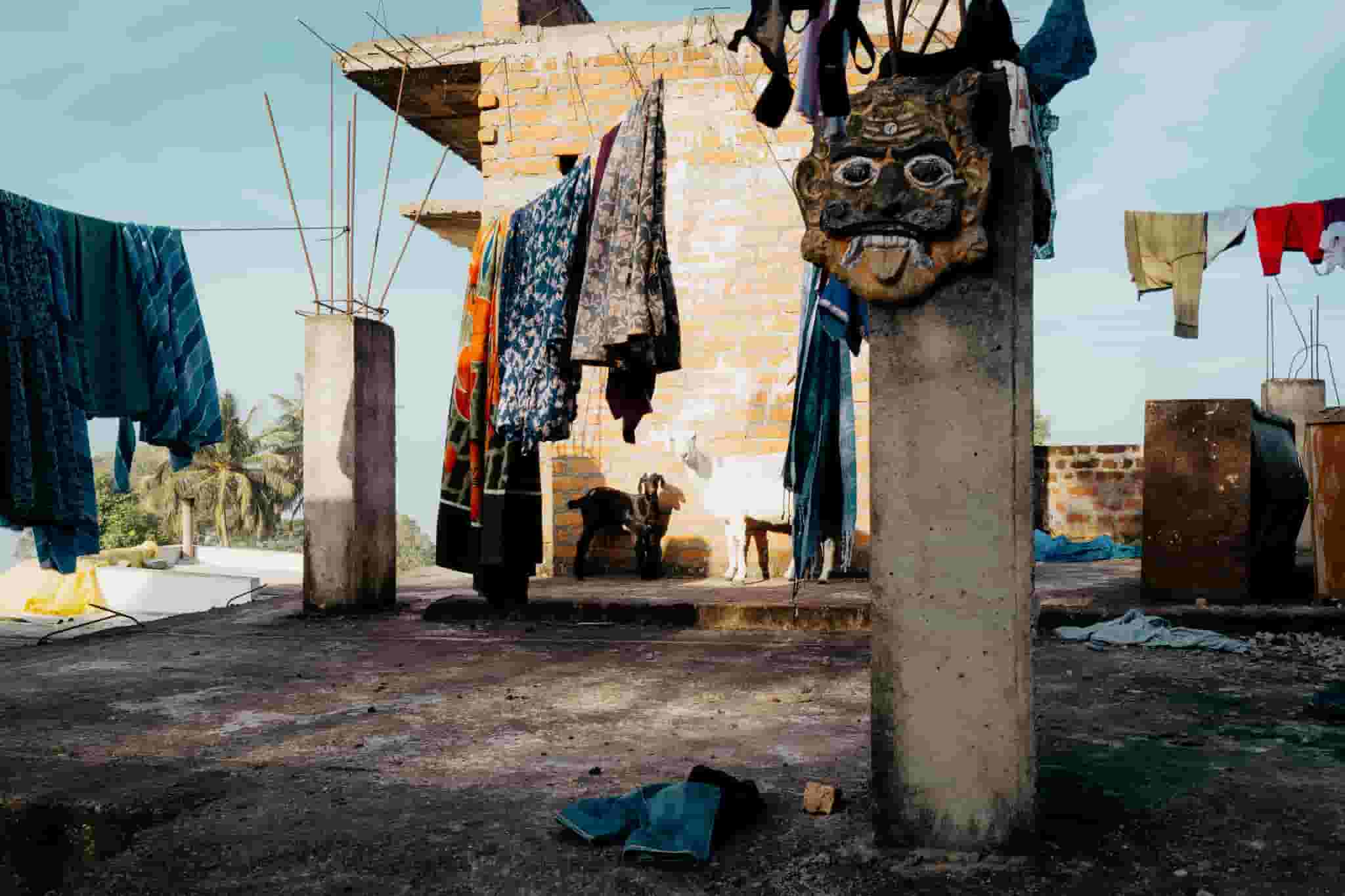 The Goats Who Stare at Men