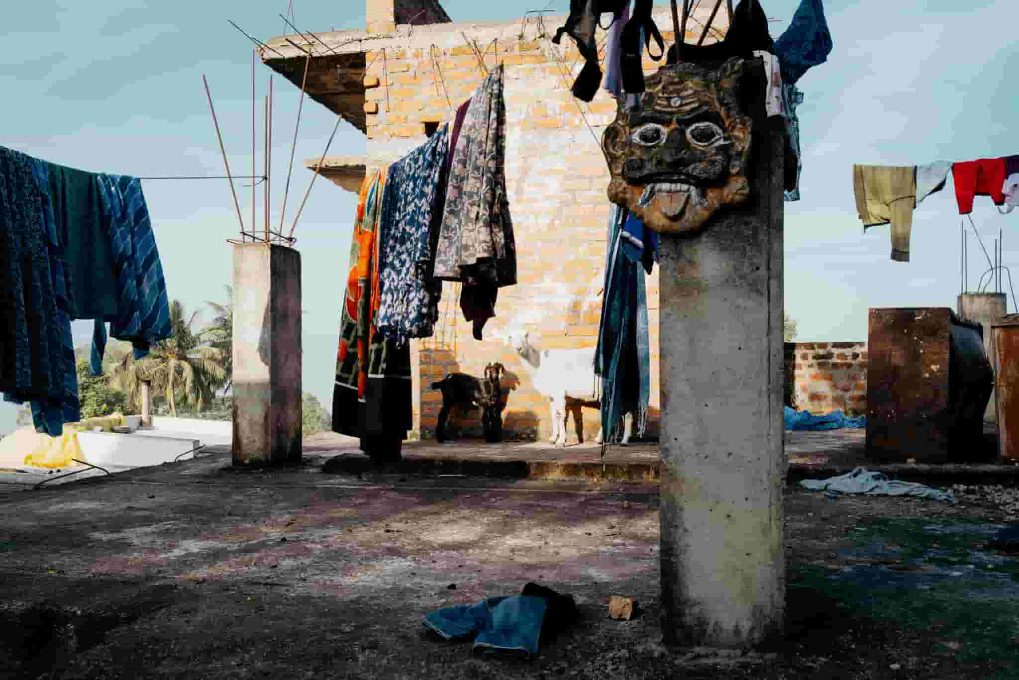 The Goats Who Stare at Men
