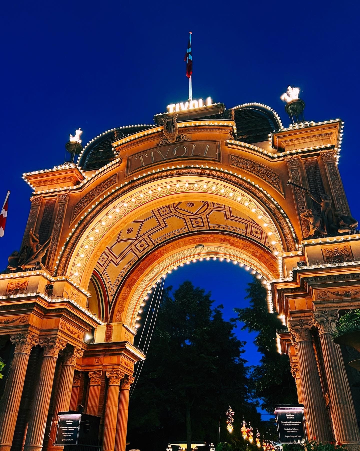 A5A57947-D351-4EFD-981C-561AC9F085B5