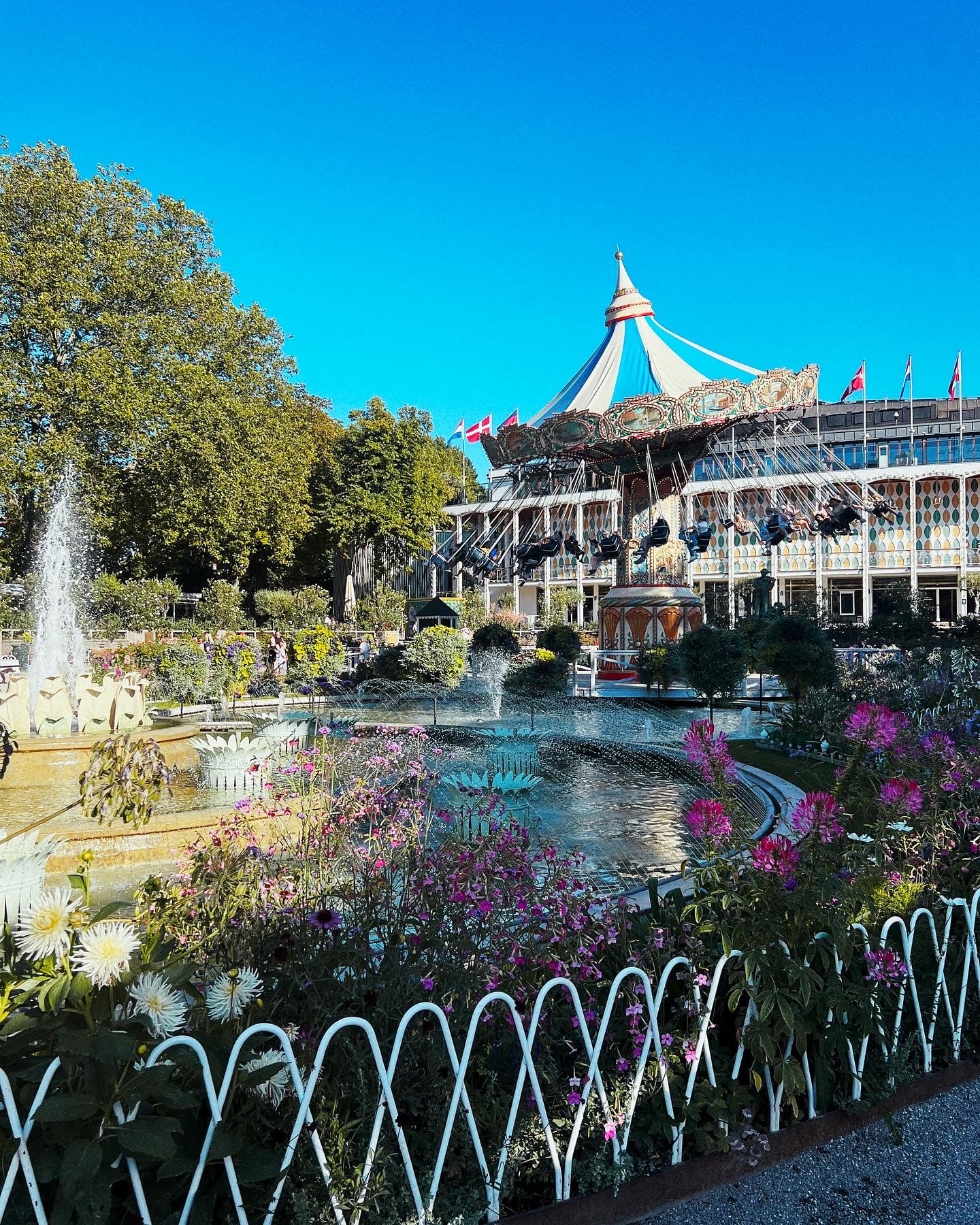 8C1D8F14-5B3D-43AA-AA9D-B21EBB9BD5E7