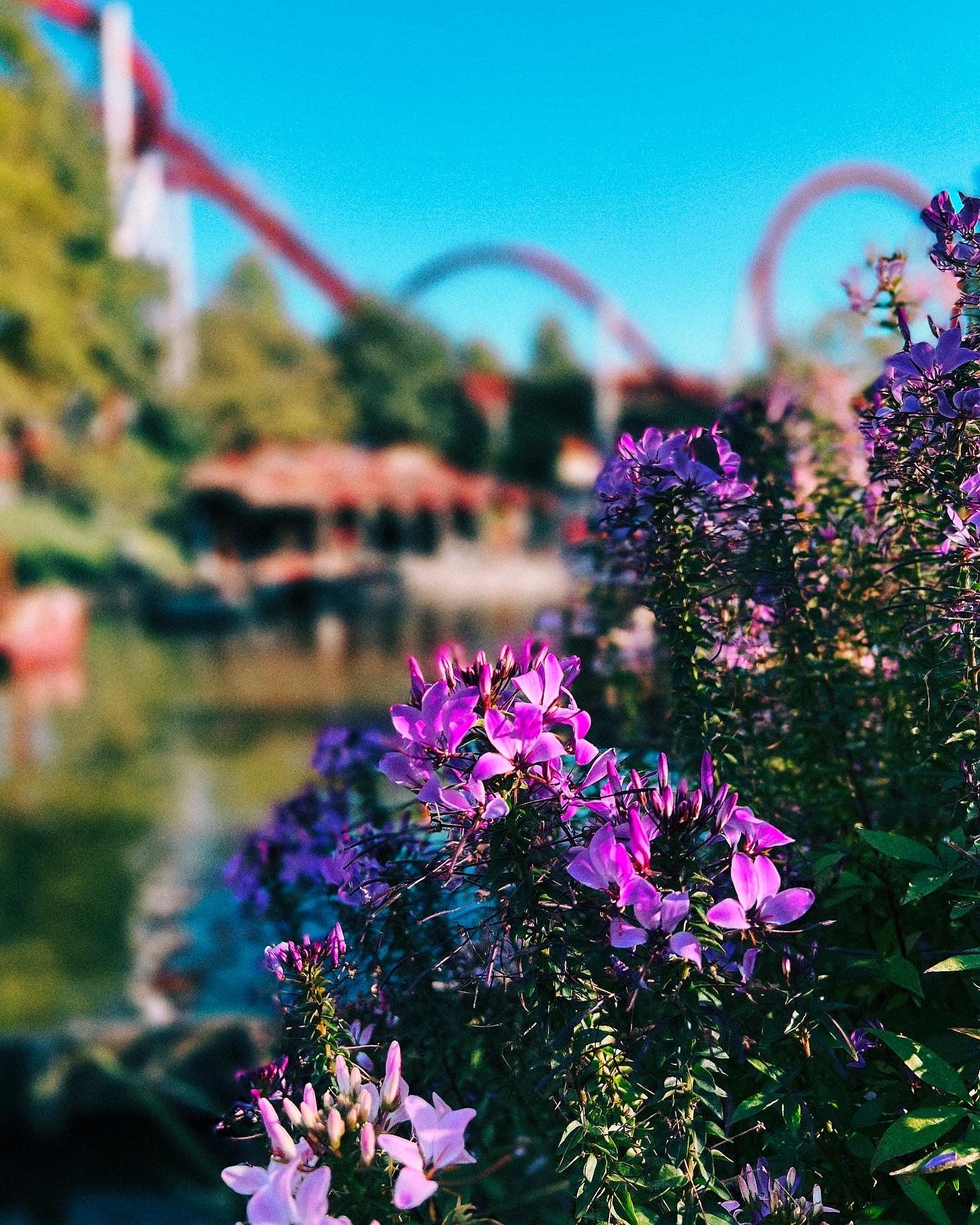 C4A1A714-3846-4910-8088-0AE6DA1AC7C0