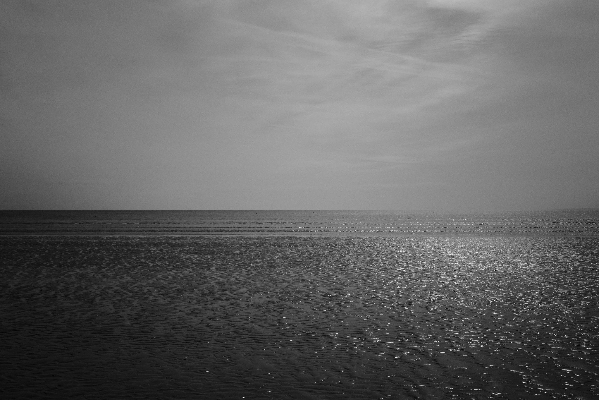 DO01000028 Edited