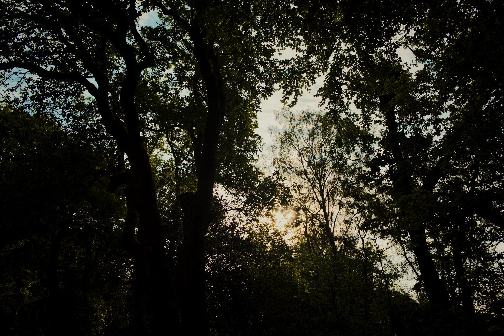 DO01000099 Edited