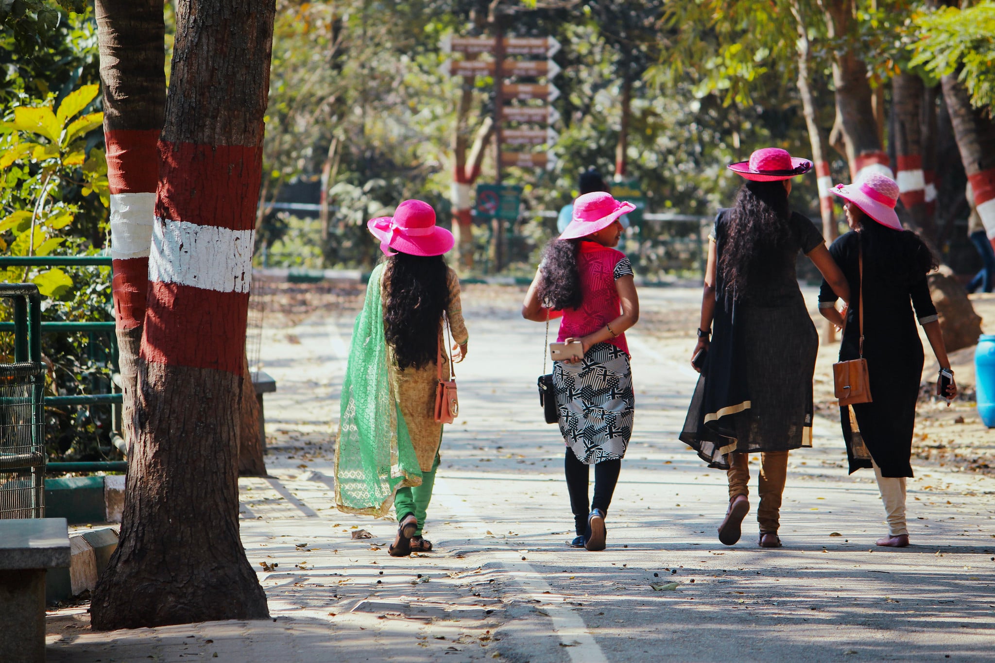 Pink ladies