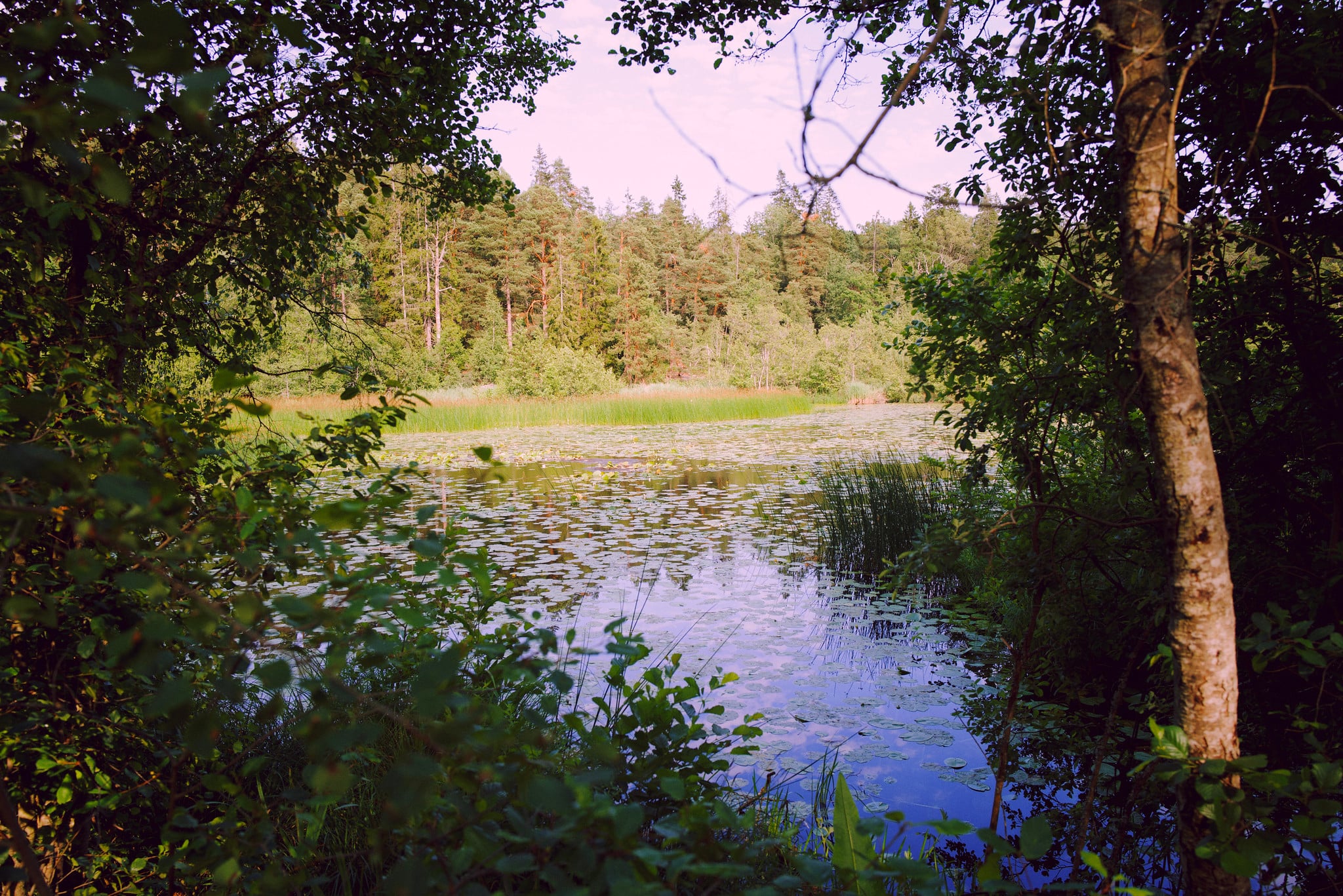 L1001702 Edited