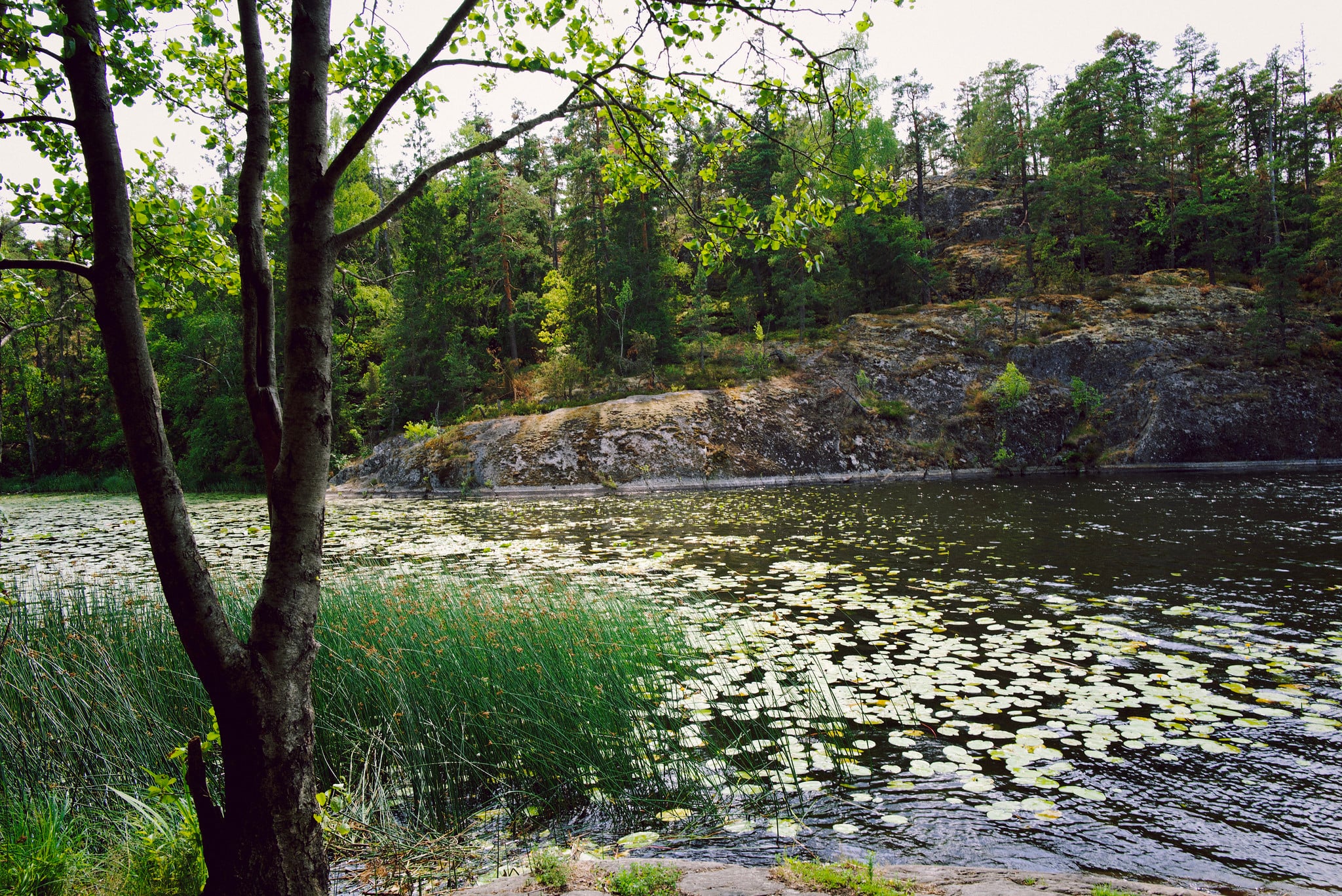 L1001634 Edited