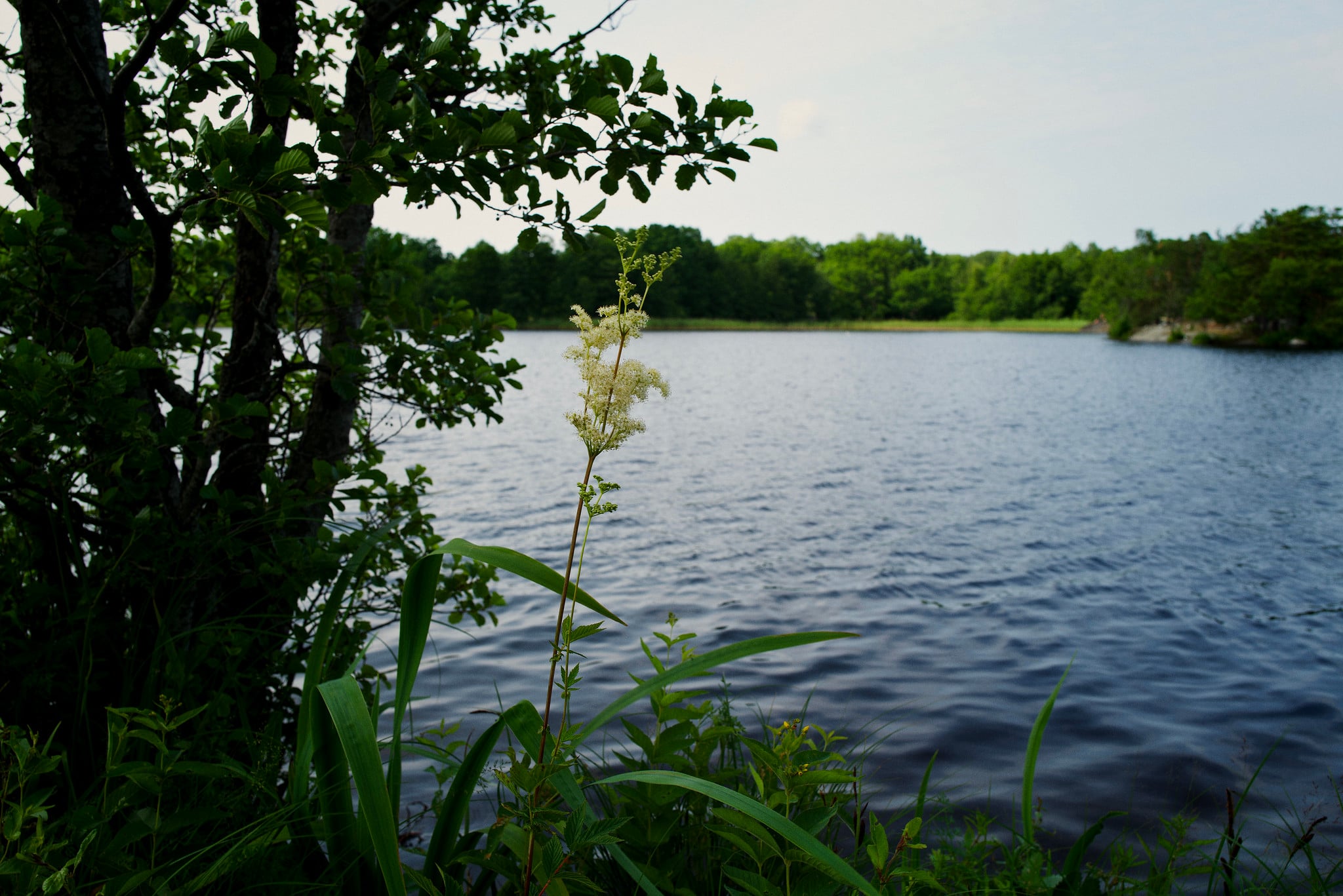 L1001650 Edited