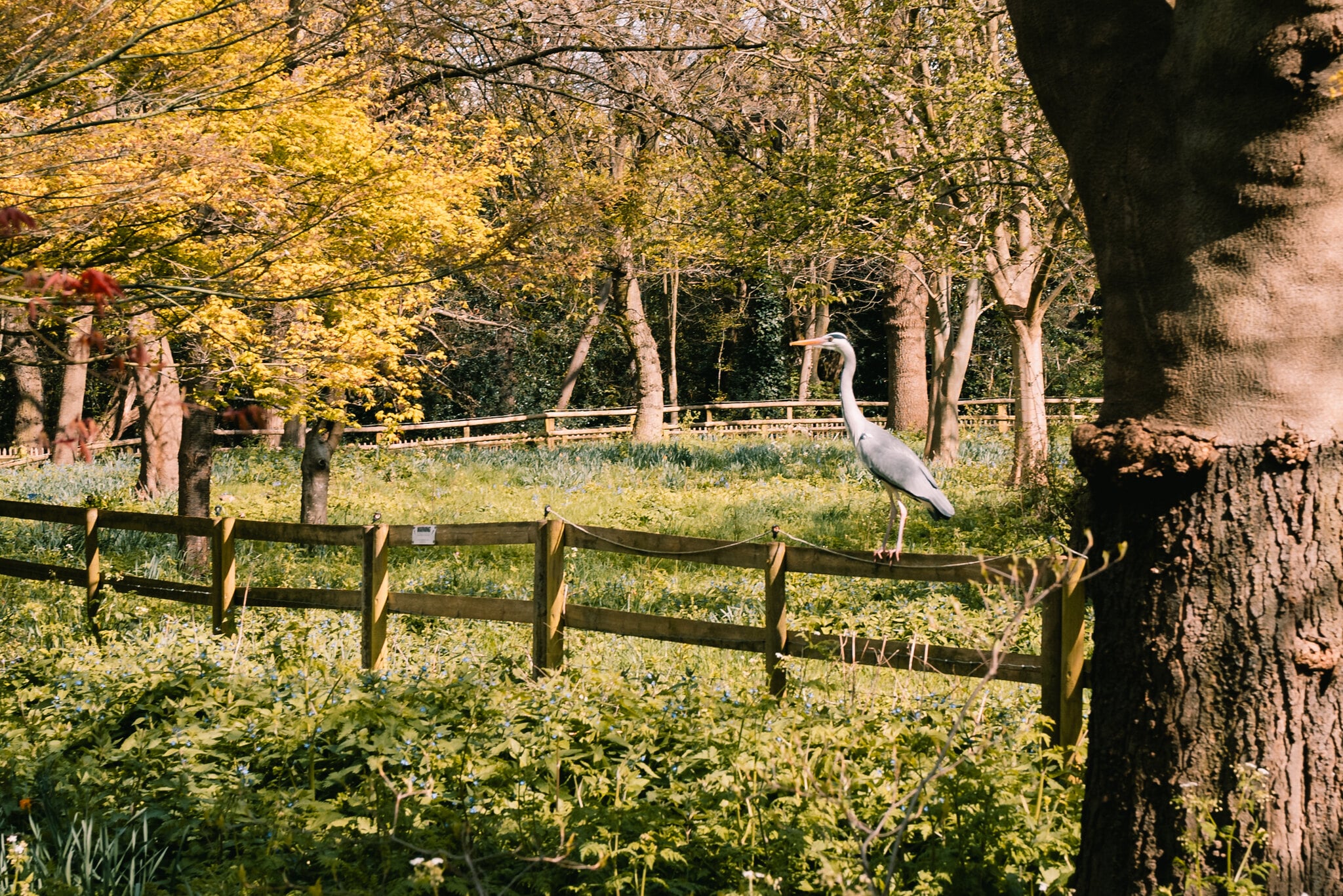 IMG_7930