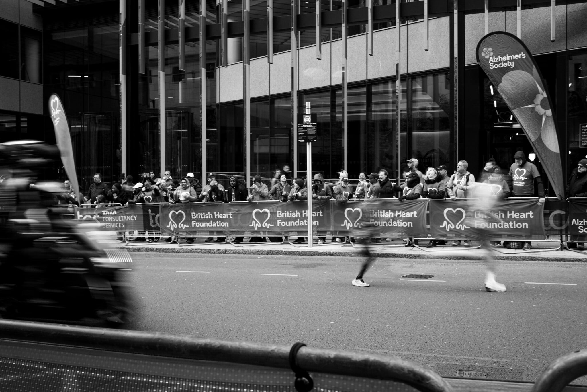 IMG_8654