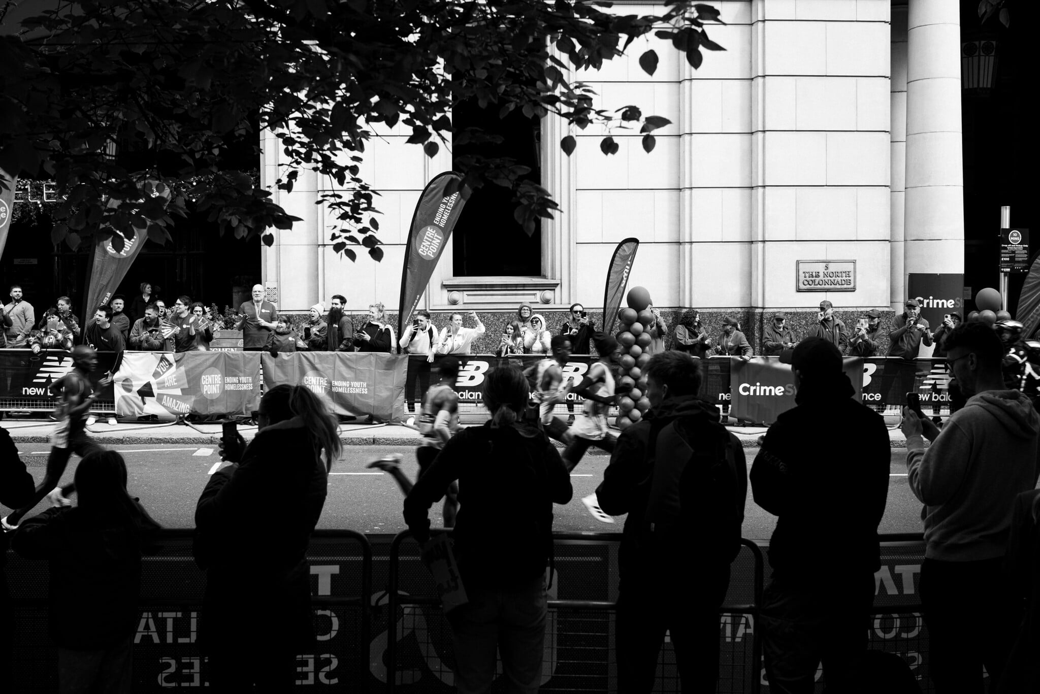 IMG_8656