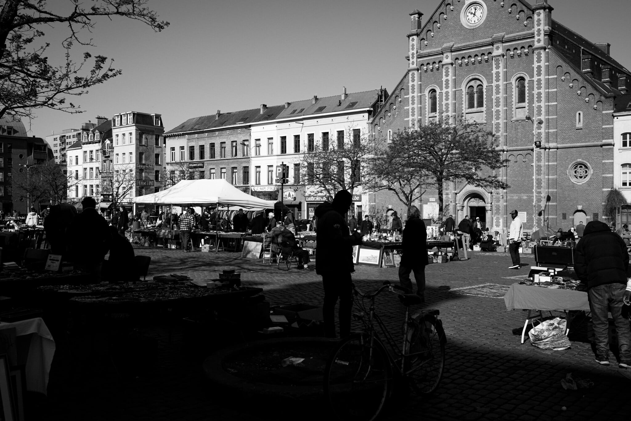 IMG_9049