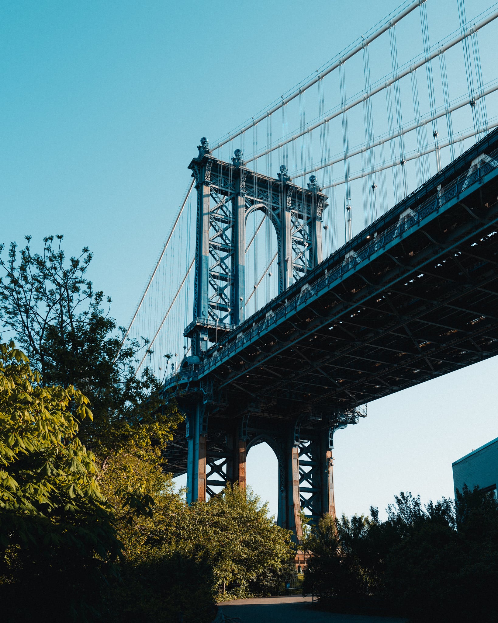 DUMBO IV