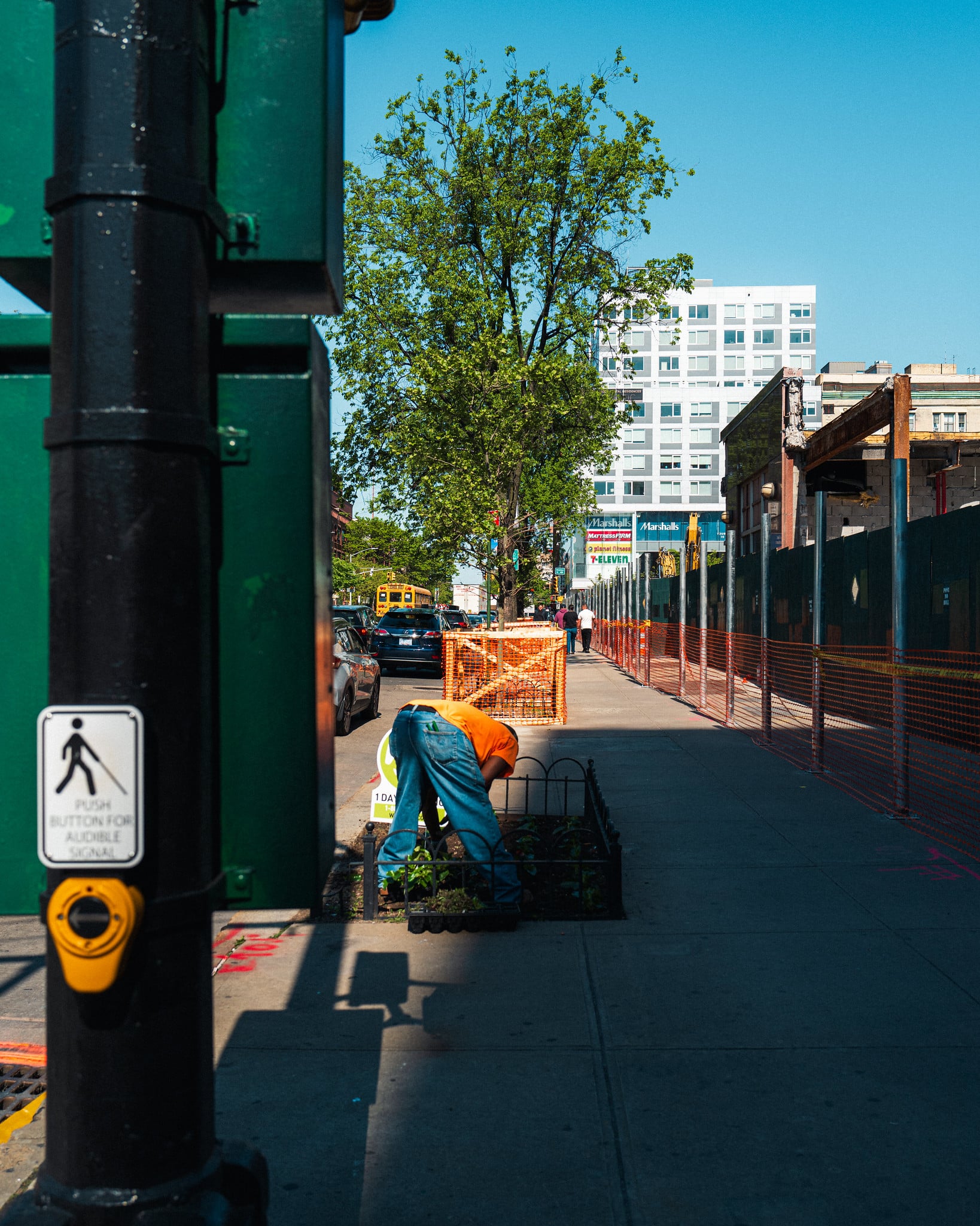 Brooklyn in Green II