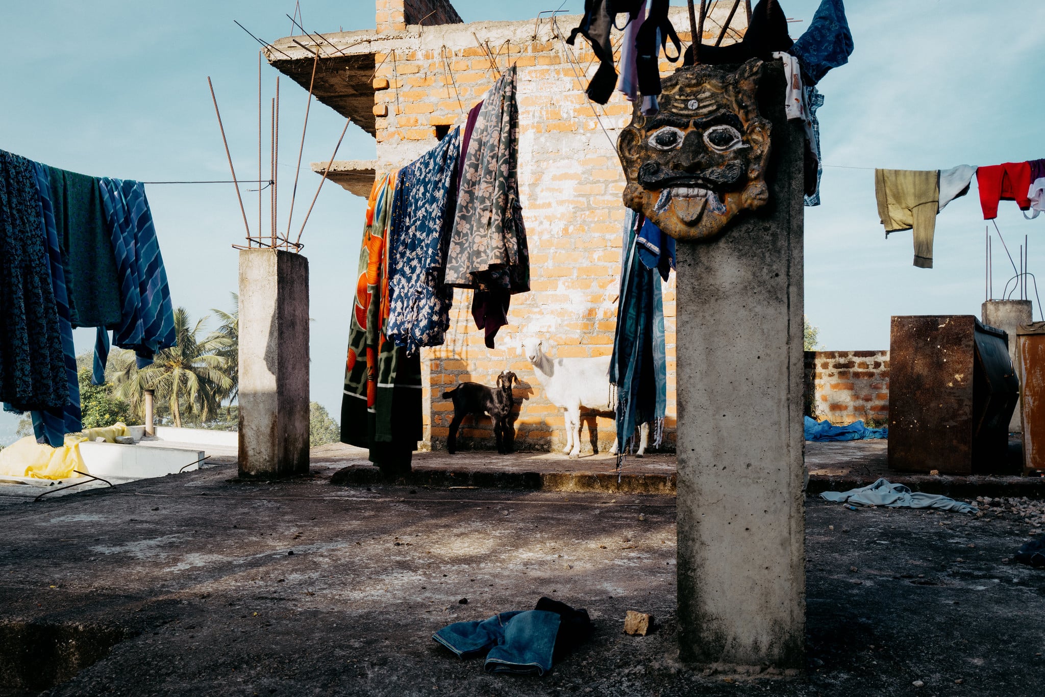 The Goats Who Stare at Men