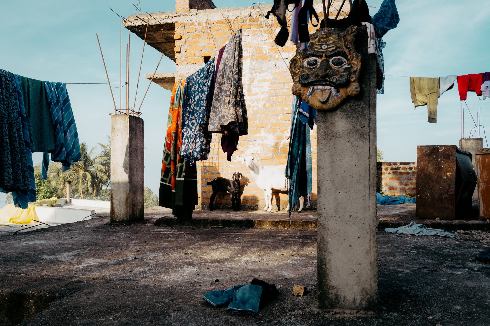 The Goats Who Stare at Men