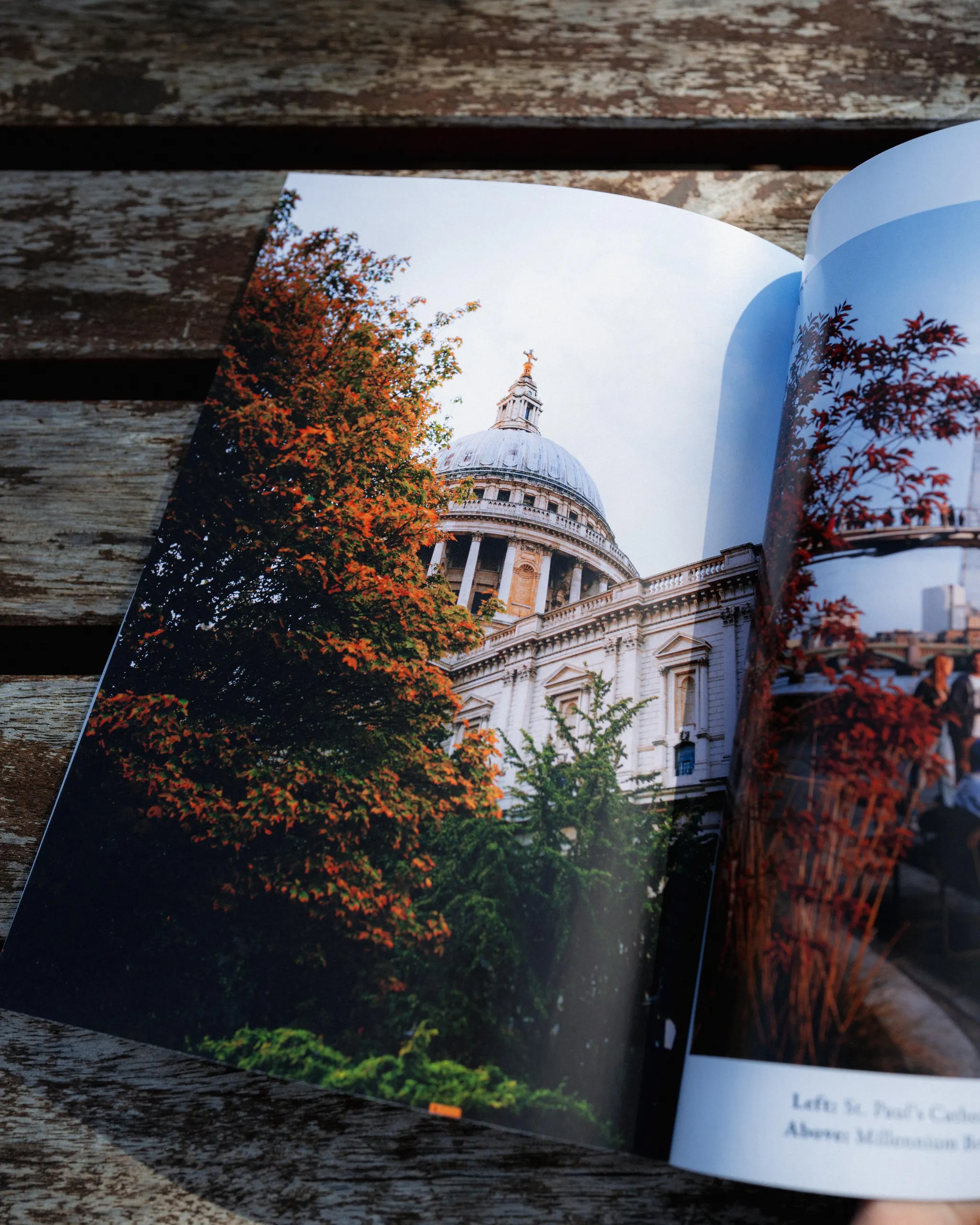 Collected Photographs (2023) thumbnail 7