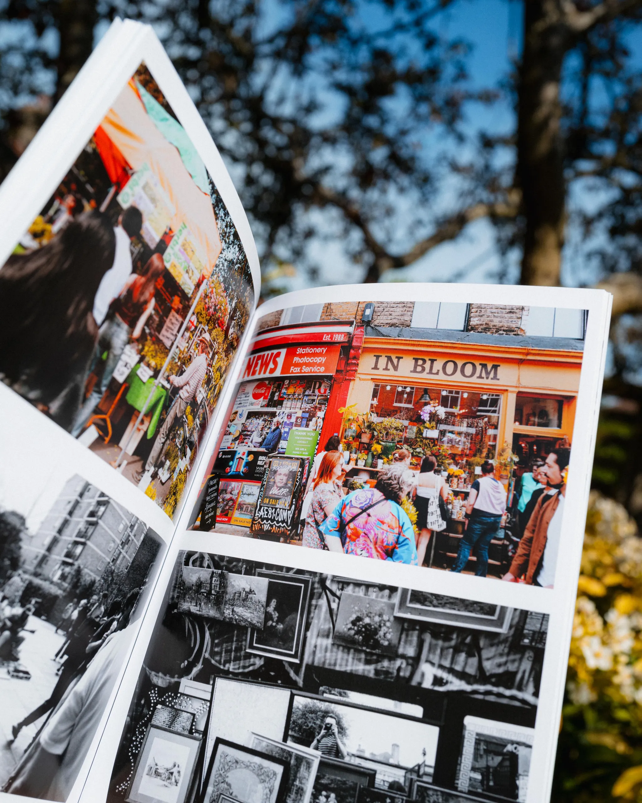 Collected Photographs (2023) thumbnail 8